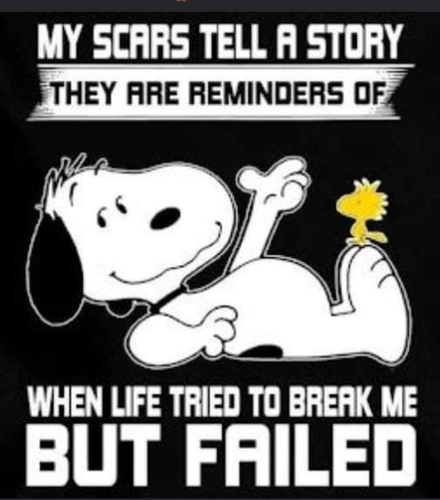 Photo of DreasdreamWorks