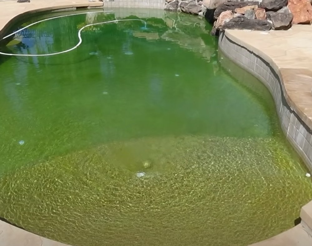 Photo of Chandler Pool Service Pro