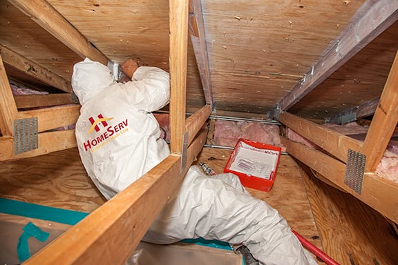 Photo of HomeServ
