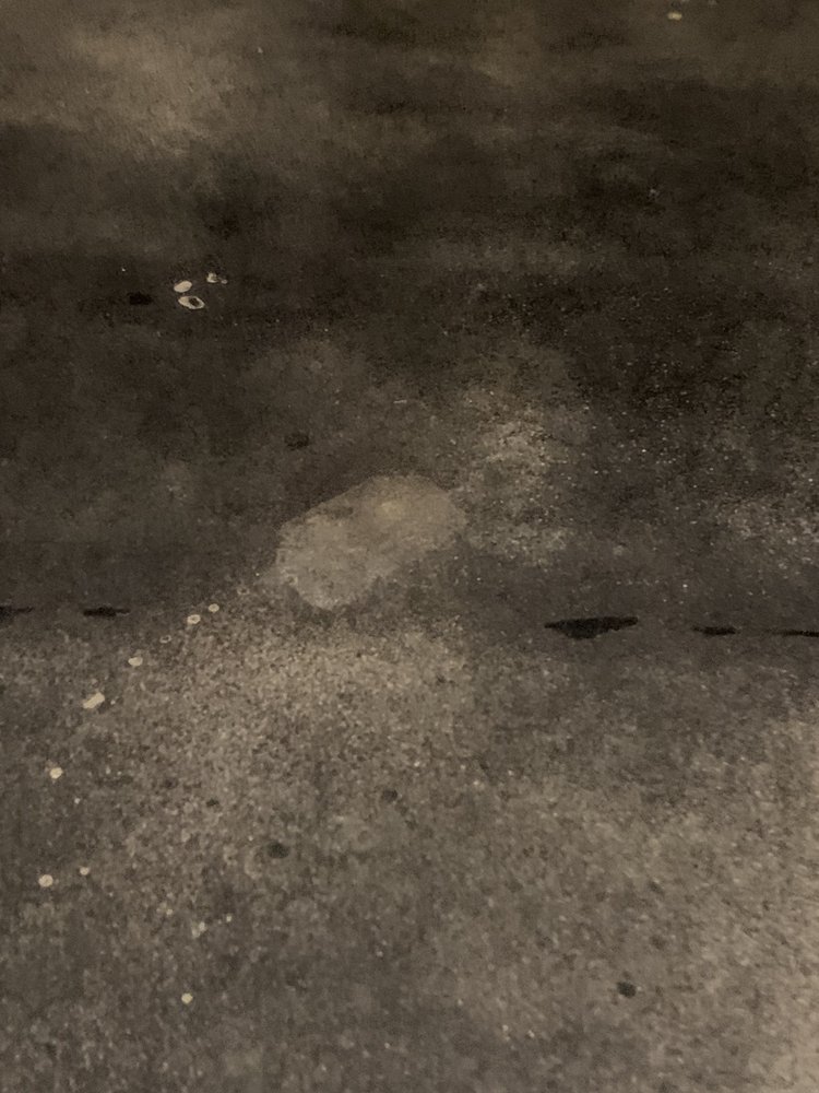 Photo of Sleek Floors