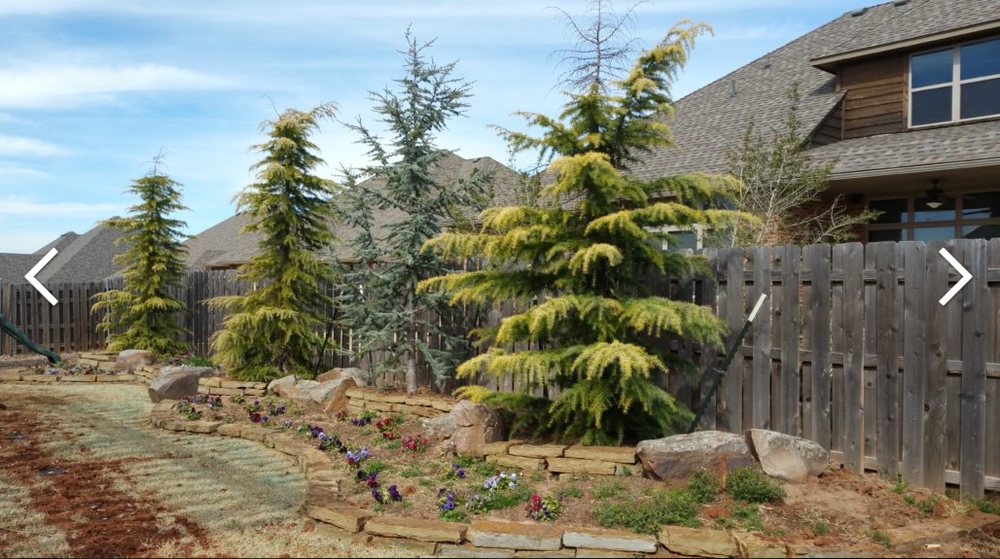 Photo of Red Dirt Landscaping