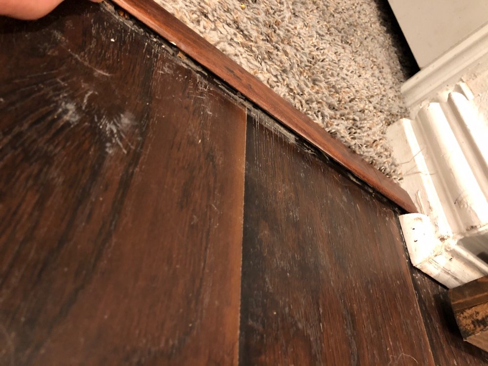 Photo of Tile Land