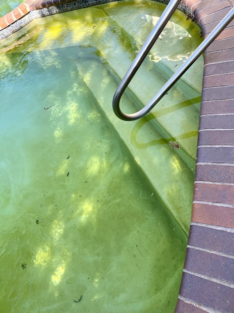 Photo of Davidson Pools