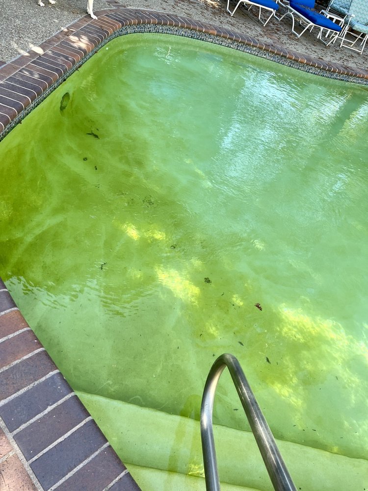 Photo of Davidson Pools