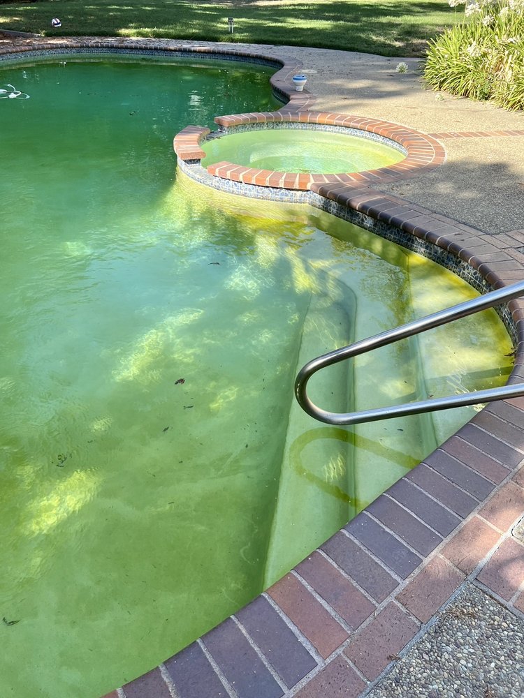 Photo of Davidson Pools