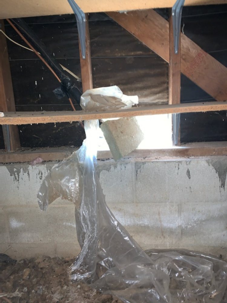 Photo of Crawl Space Advisors