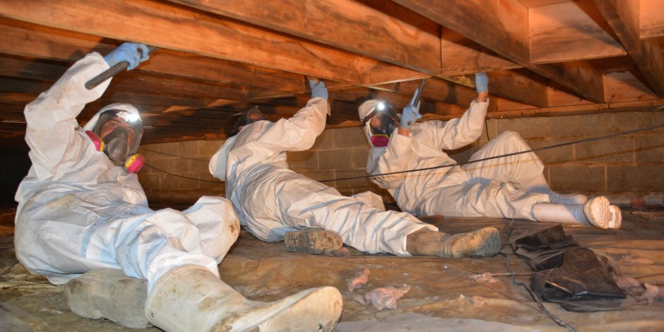 Photo of Crawl Space Advisors
