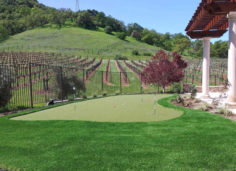 Photo of Field of Green