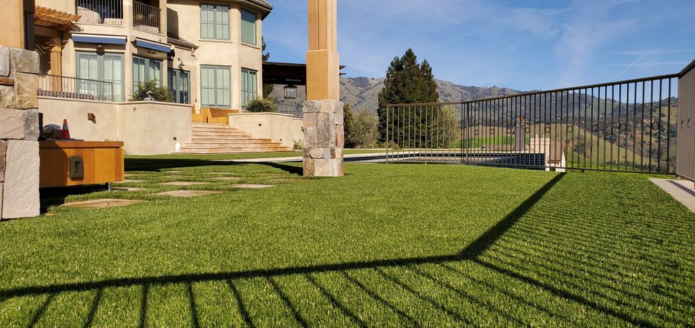 Photo of Field of Green