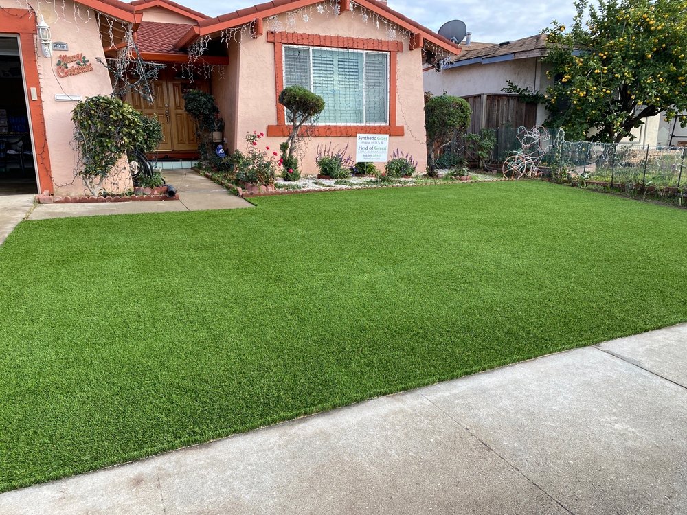 Photo of Field of Green