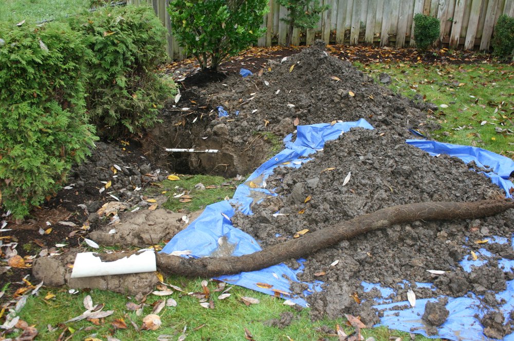 Photo of Pacific Plumbing & Drain Services
