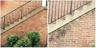 Photo of Hydra Pressure Washing