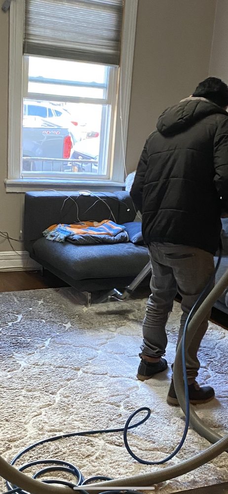 Photo of Organic Rug Cleaners