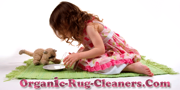 Photo of Organic Rug Cleaners