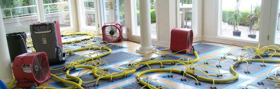 Photo of Organic Rug Cleaners