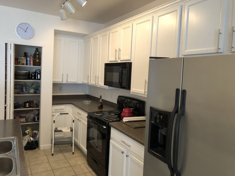 Photo of Color Palette House Painting
