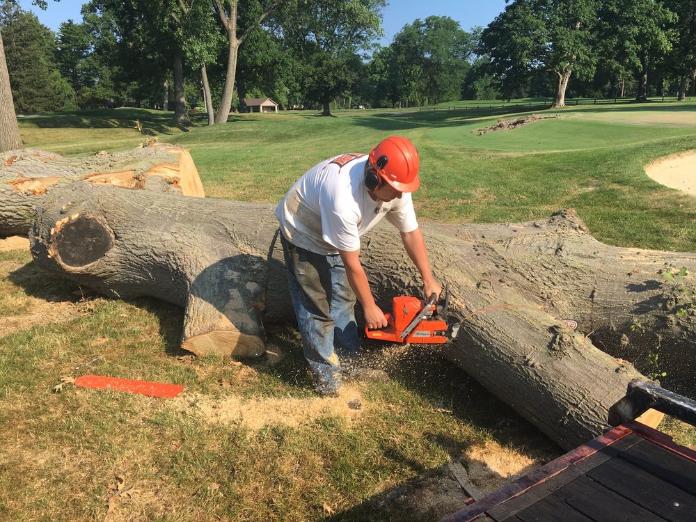 Photo of Elicson Hardwoods