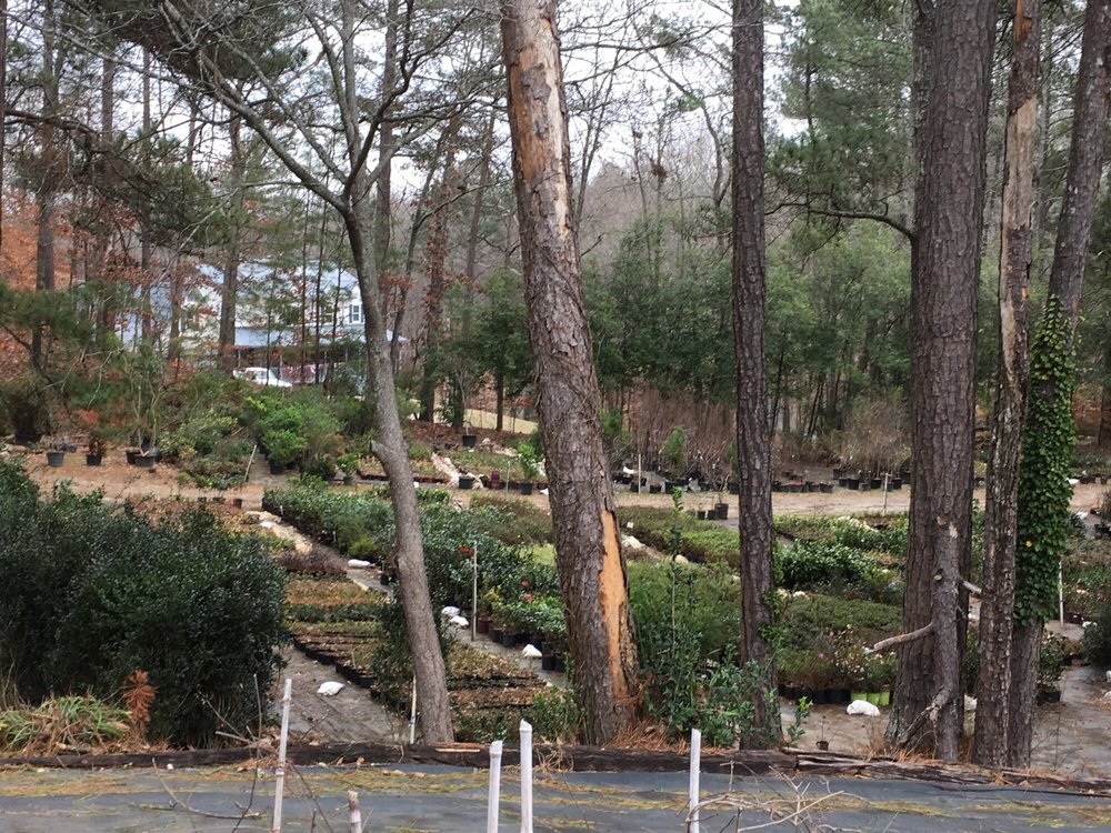 Photo of Accent Nursery & Landscaping
