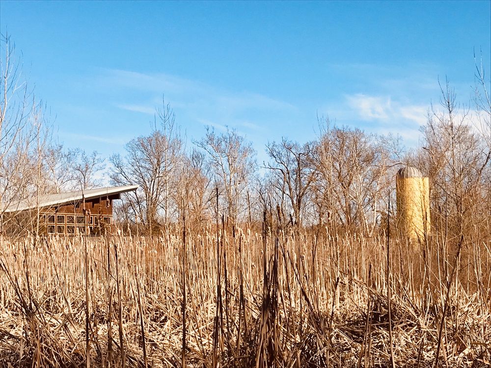 Photo of Beckley Creek Park