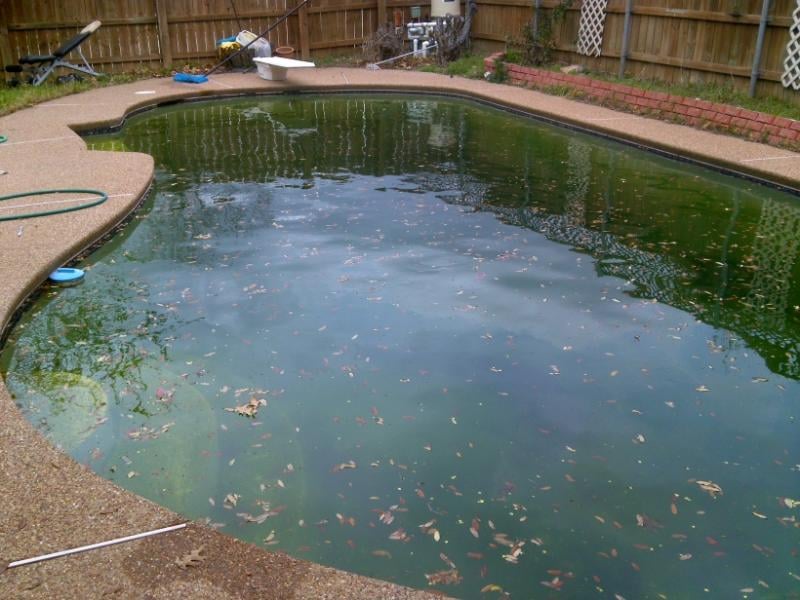 Photo of Palm Oasis Pool Care