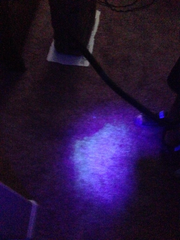 Photo of Ecodry Carpet Cleaning