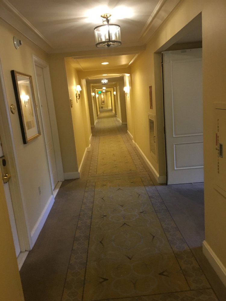Photo of Ecodry Carpet Cleaning