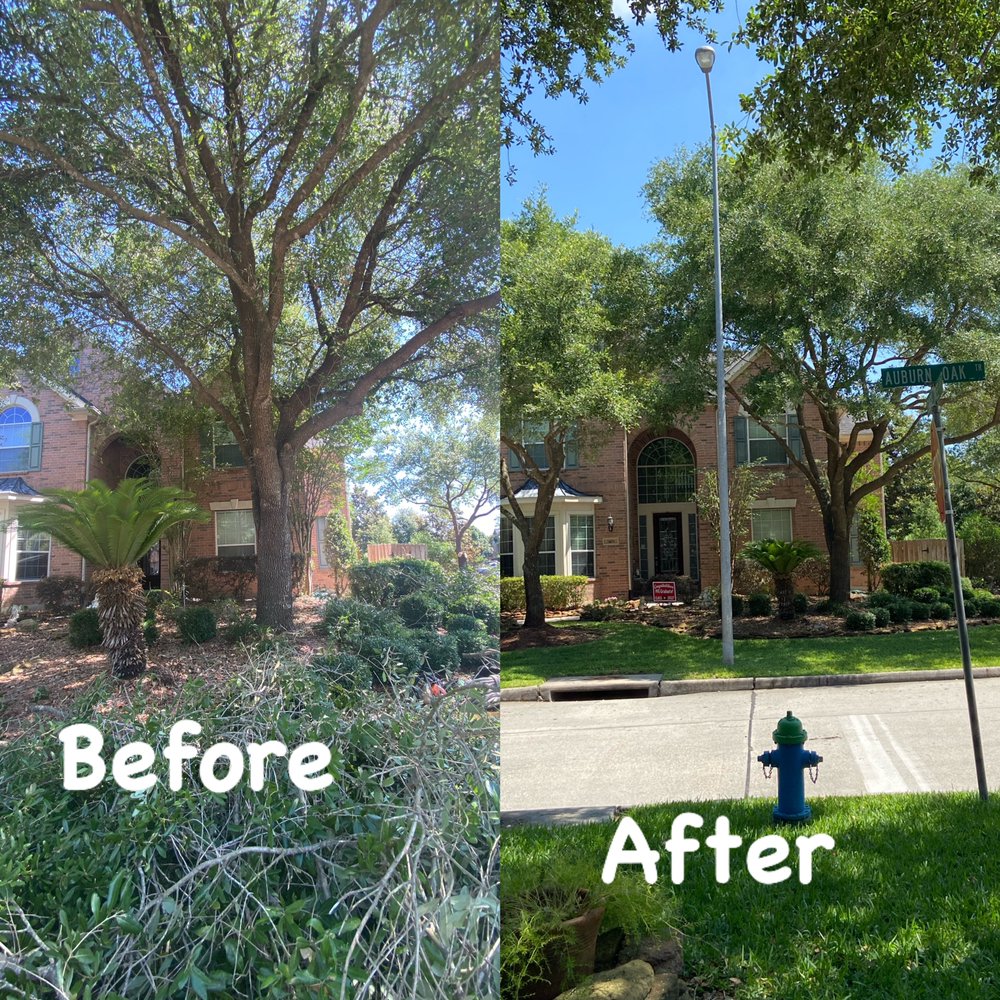 Photo of Williams Tree Service