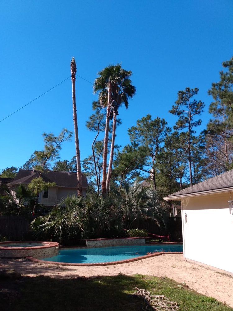 Photo of Williams Tree Service