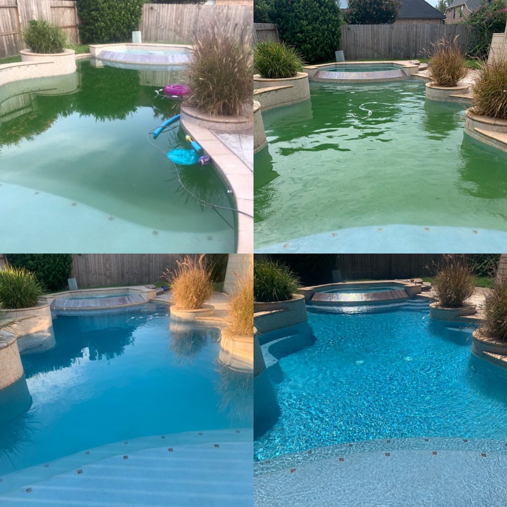 Photo of Alpha Pool Service
