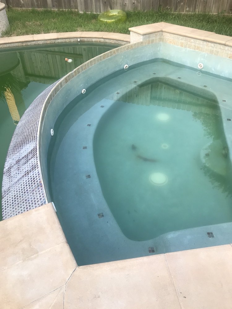 Photo of Alpha Pool Service