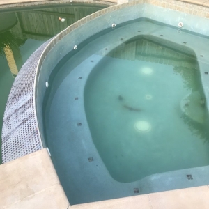 Houston Alpha Pool Service