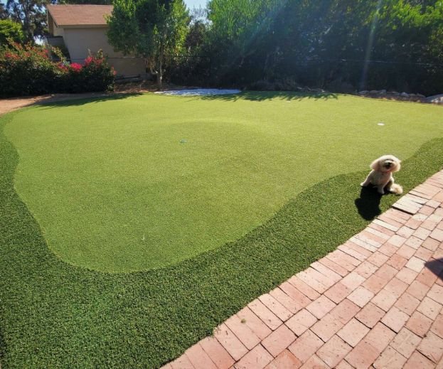 Photo of Purchase Green Artificial Grass