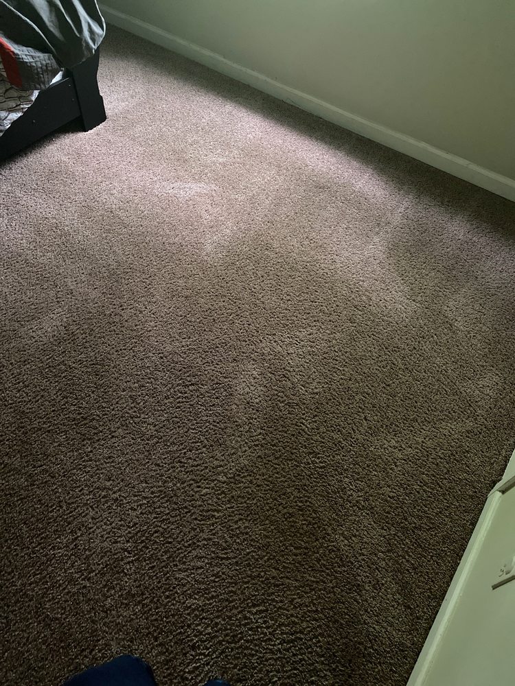 Photo of Dirty Harrys carpet cleaning