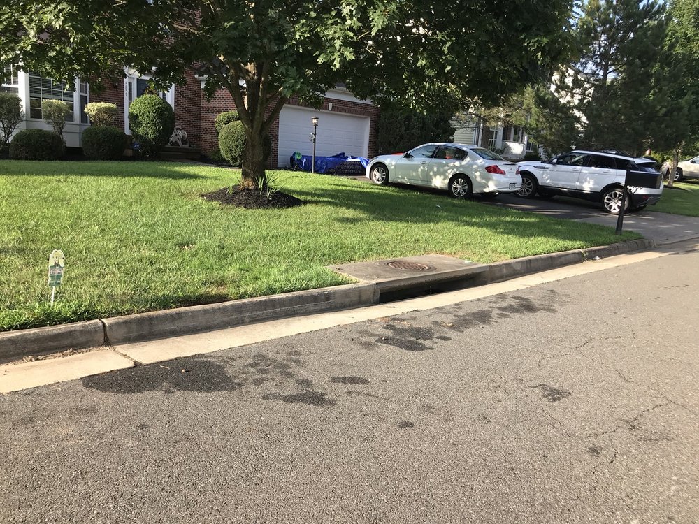 Photo of Perfect Lawns