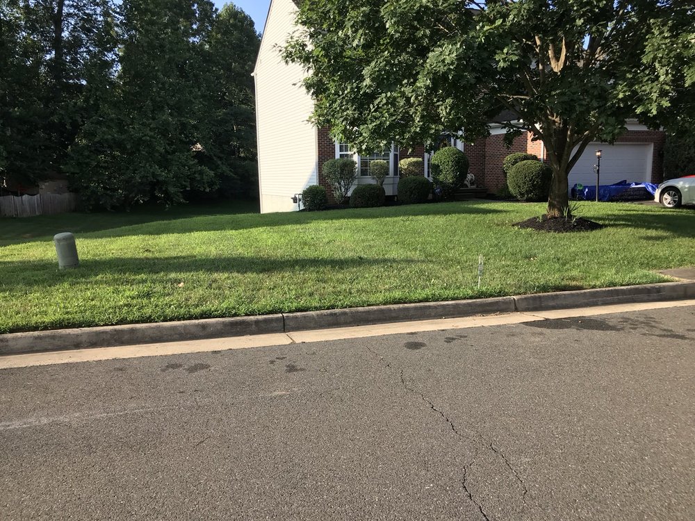 Photo of Perfect Lawns