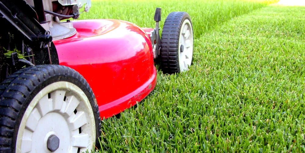 Photo of Monster Green Lawn Care