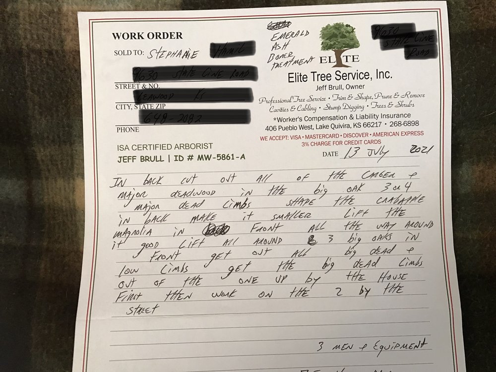 Photo of Elite Tree Service