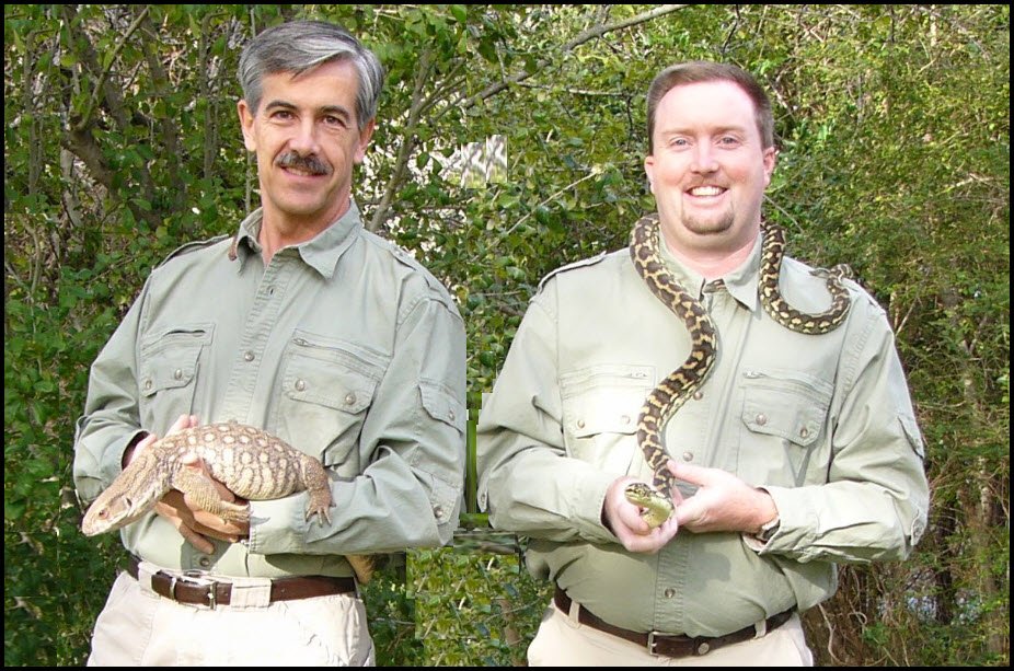 Photo of Wildlife On The Move