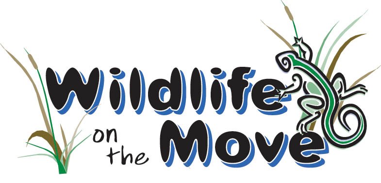 Photo of Wildlife On The Move