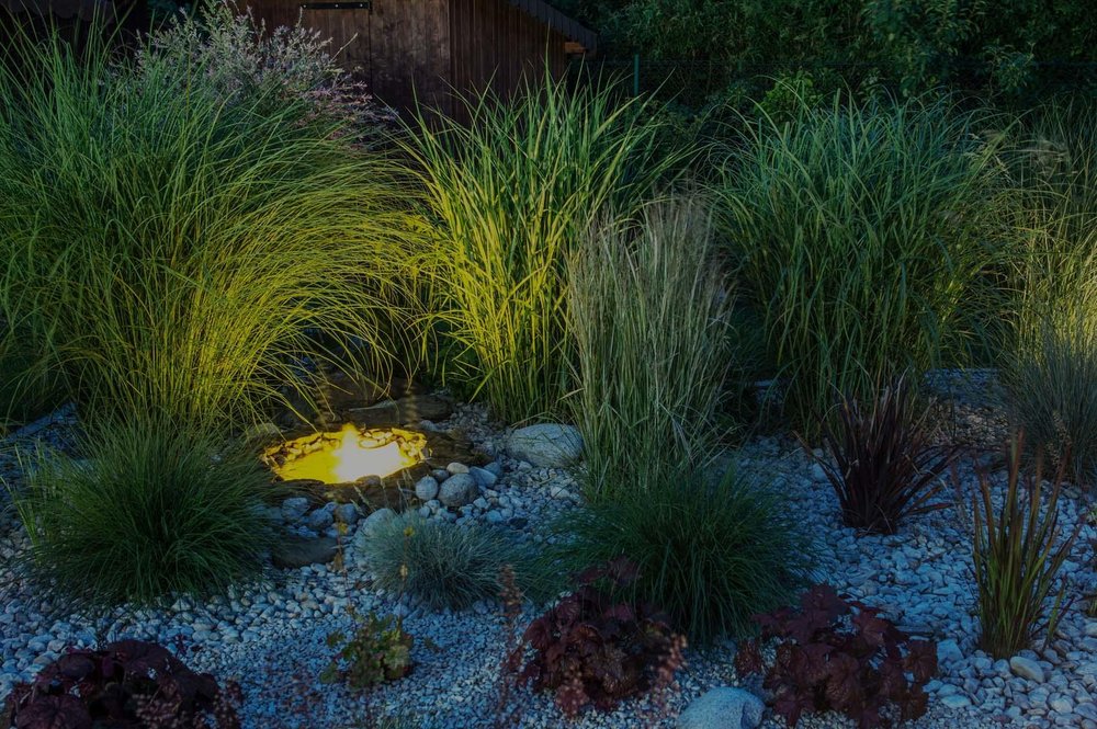 Photo of Living Waters Pond Supplies