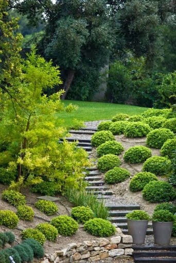 Photo of Dirt Clods Landscaping