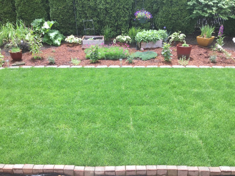 Photo of Grasstains