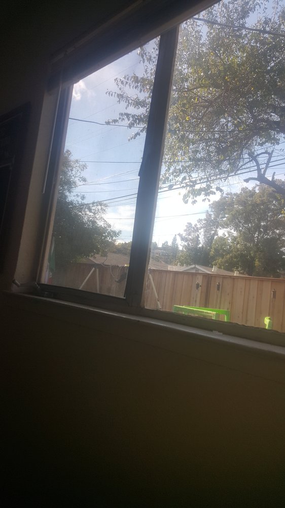 Photo of TT Glass & Windows