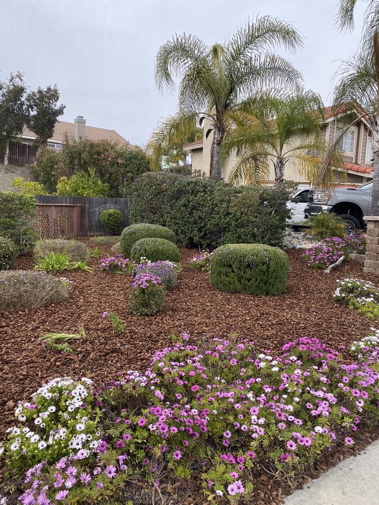Photo of Francisco Landscaping