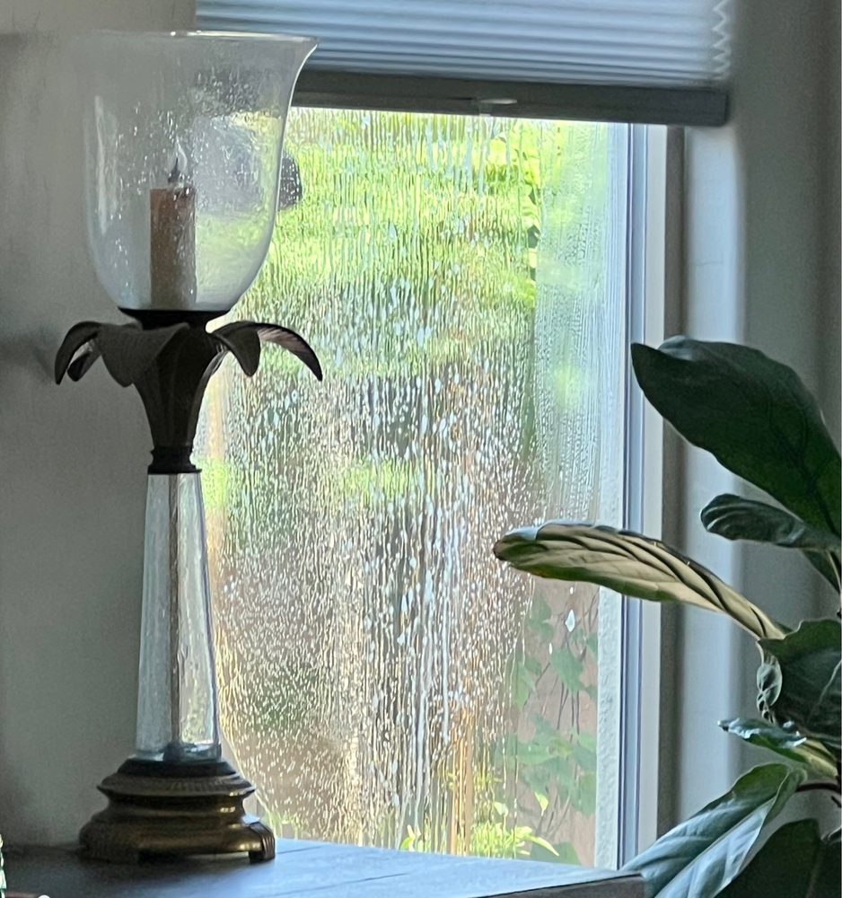 Photo of Mint Clean Windows Cleaning