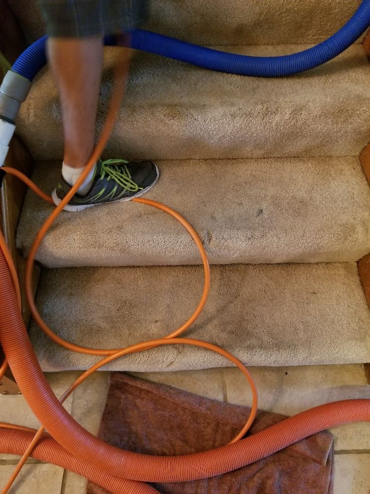 Photo of Cleantech Carpet Cleaning
