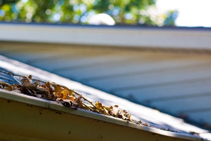 Photo of All Gutter Services