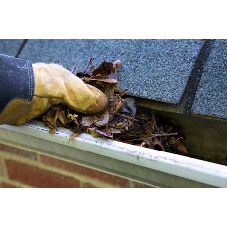 Photo of All Gutter Services