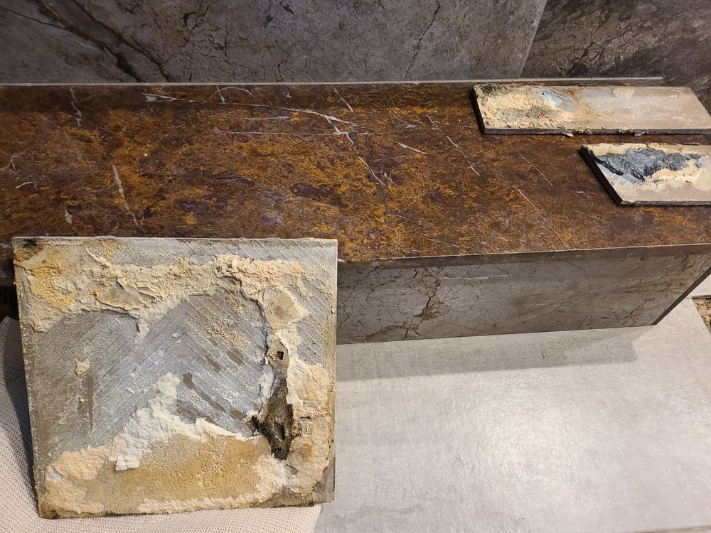 Photo of Siberian Tiger Tile & Stone