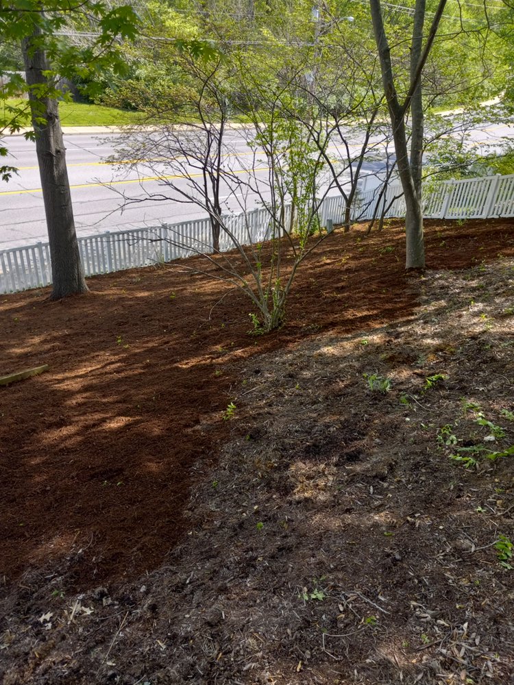 Photo of Blue Springs Landscaping and Tree Service